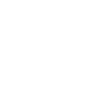 icon training